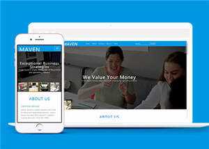 专业咨询服务展示HTML网页模板下载 - 创梦DreamCreation知识站