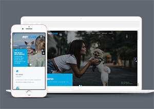 宽屏宠物狗医院类网站模板下载 - 创梦DreamCreation知识站