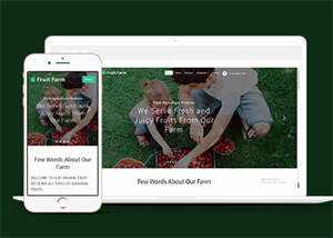 新鲜农产品类公司网站模板下载 - 创梦DreamCreation知识站