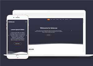 简约业务团队动态响应式网页模板下载 - 创梦DreamCreation知识站