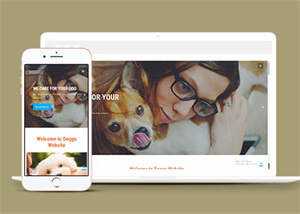 宠物美容服务公司网站模板源码 - 创梦DreamCreation知识站