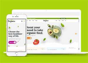 蔬菜水果商店网站响应式模板下载 - 创梦DreamCreation知识站