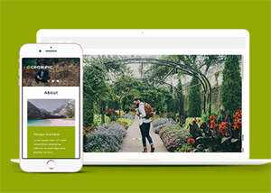 宽屏风景图片拍摄网站模板下载 - 创梦DreamCreation知识站