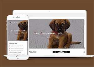 简洁宠物饲养单页HTML模板下载 - 创梦DreamCreation知识站