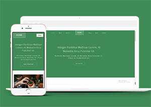 响应式多肉植物种植网站模板下载 - 创梦DreamCreation知识站