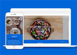 大气美食制作类网站模板下载 - 创梦DreamCreation知识站