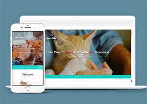 流浪动物领养中心网站模板 - 创梦DreamCreation知识站