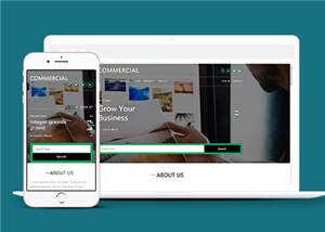 简洁商业贸易服务展示HTML网页模板下载 - 创梦DreamCreation知识站