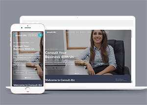 简洁专业投资顾问网站模板下载 - 创梦DreamCreation知识站