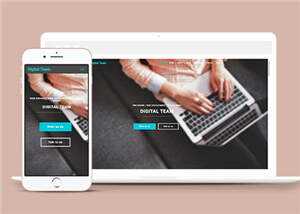 简洁数字团队服务展示响应式网页模板下载 - 创梦DreamCreation知识站