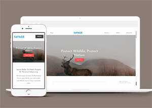 保护野生动物响应式网站模板下载 - 创梦DreamCreation知识站