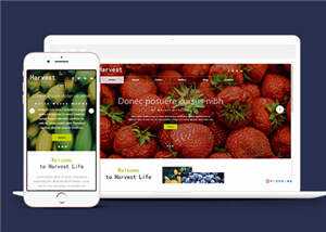 响应式果蔬大棚企业源码模板下载 - 创梦DreamCreation知识站