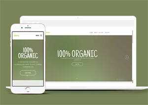 简洁绿色主题公司网站模板下载 - 创梦DreamCreation知识站