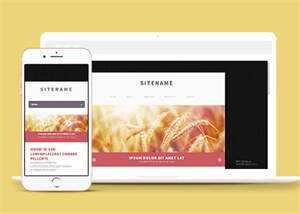 宽屏粉色个人博客主页网站模板 - 创梦DreamCreation知识站