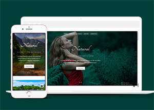 宽屏旅游温泉响应式网站模板 - 创梦DreamCreation知识站