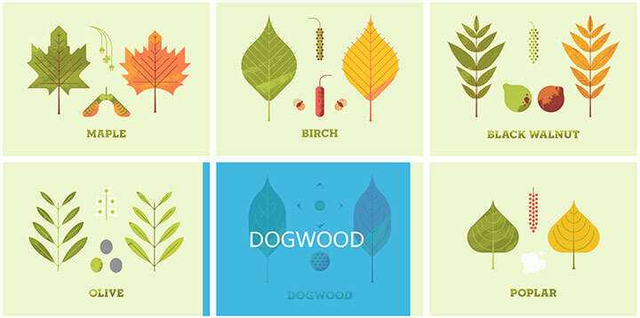 jQuery列表图片鼠标悬停感知方向遮罩层移动特效 - 创梦DreamCreation知识站