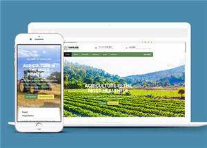 宽屏农业生产项目html模板下载 - 创梦DreamCreation知识站