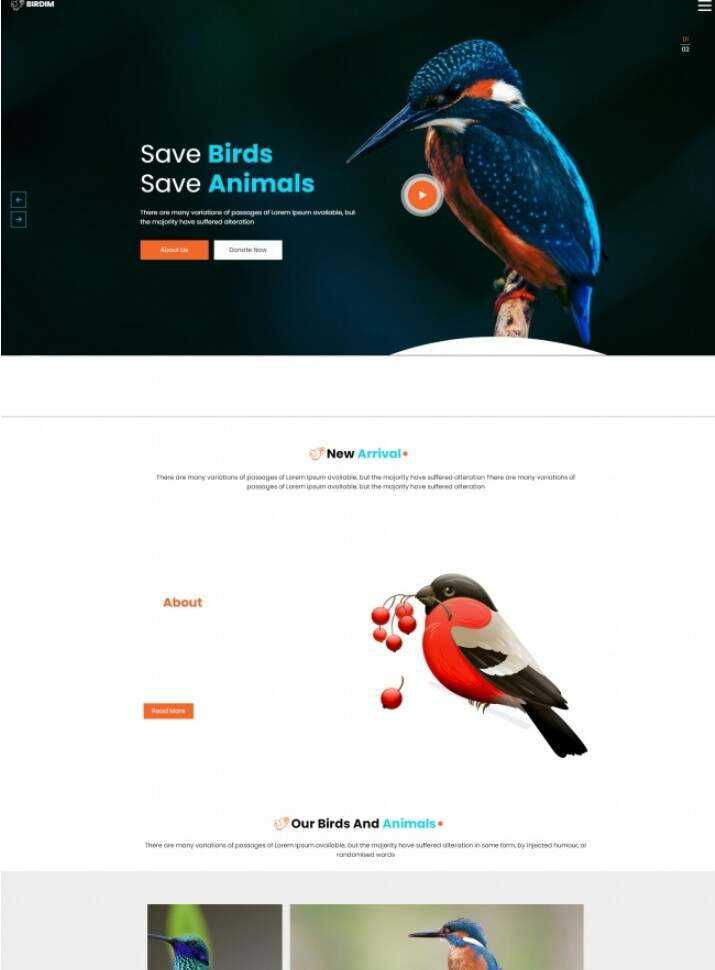 拯救鸟类拯救动物HTML5网站模板 - 创梦DreamCreation知识站