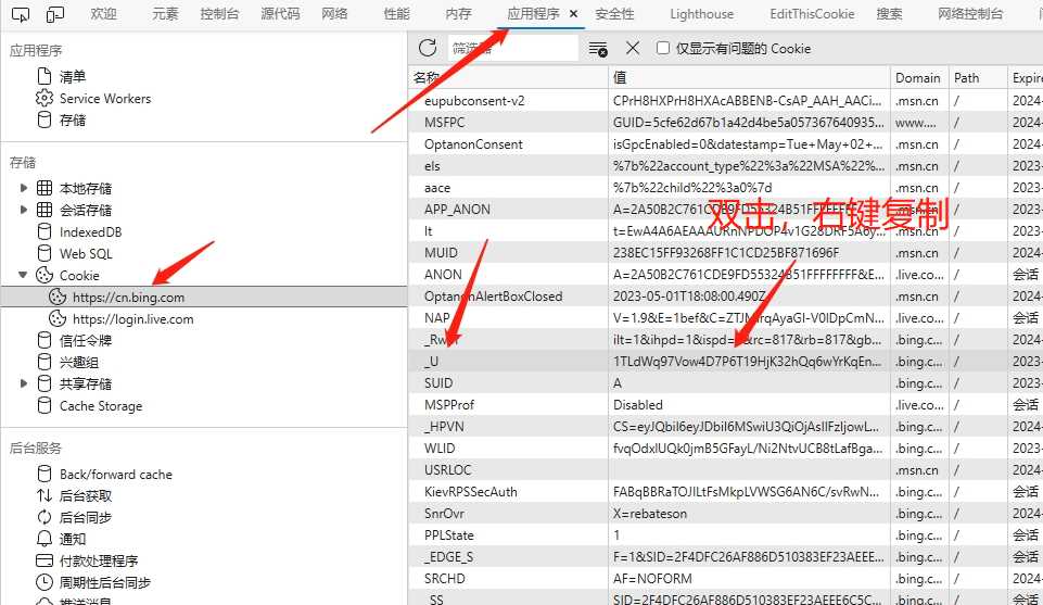 图片[10] - go语言新必应New Bingai聊天机器人 - 创梦DreamCreation知识站