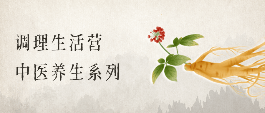 调理生活营：中医养生系列 - 创梦DreamCreation知识站