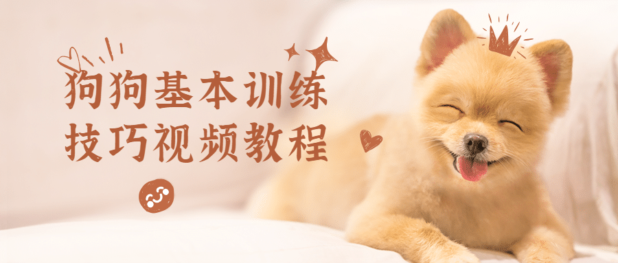 狗狗基本训练技巧视频教程 - 创梦DreamCreation知识站