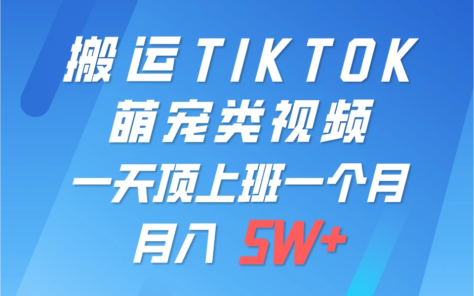 搬运tiktok萌宠视频，一部手机可做，项目长期稳定，月入5W+ - 创梦DreamCreation知识站