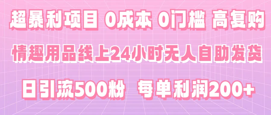超暴利项目，情趣用品线上24小时-无人自助发货，0成本，0门槛，高复购，有手就能做，日引500粉，每单利润200+ - 创梦DreamCreation知识站