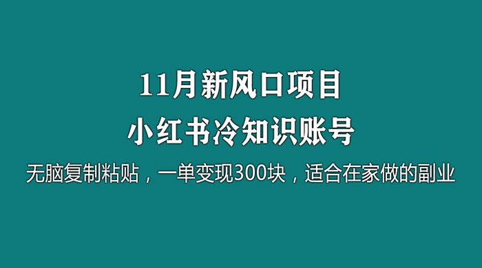11 月新风口项目，小红书冷知识账号，无脑复制粘贴，一单变现 300 块，适合在家做的副业 - 创梦DreamCreation知识站