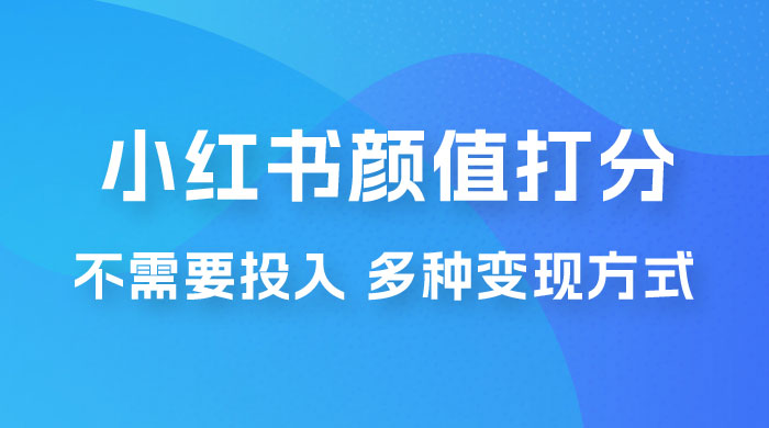小红书颜值打分新玩法，不需要投入，适合所有人的一份副业，多种变现方式！ - 创梦DreamCreation知识站