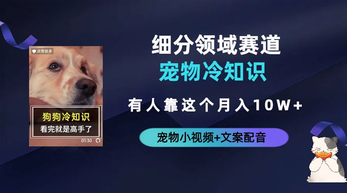 不起眼的抖音细分赛道 · 宠物冷知识：一段宠物视频配文案，有人靠这个月入 10w - 创梦DreamCreation知识站