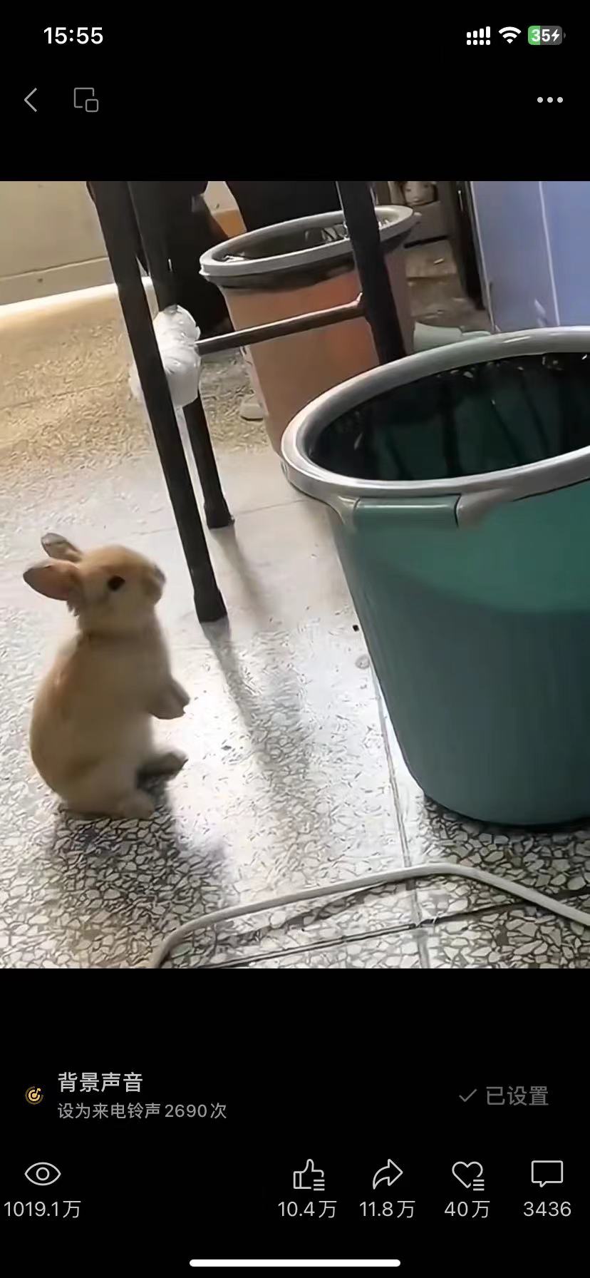 电商小白用了 3 个月,从不断熬夜在社群中学习并去践行,到视频号跑通 0-1 月入 12W+ 电商小白用了 3 个月,从不断熬夜在社群中学习并去践行,到视频号跑通 0-1 月入 12W+