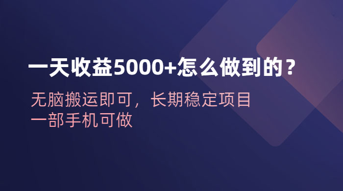 一天收益 5000+ 怎么做到的？无脑搬运即可，长期稳定项目，一部手机可做 - 创梦DreamCreation知识站