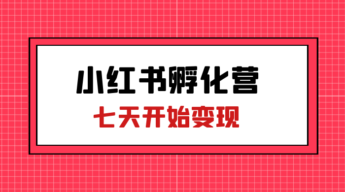 价值 2000+ 的小红书孵化营项目，超级大蓝海，七天即可开始变现，稳定月入 1W+ - 创梦DreamCreation知识站