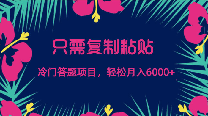 只需复制粘贴，冷门答题项目，轻松月入 6000 - 创梦DreamCreation知识站