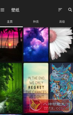 ZEDGE 铃声和壁纸v8.90.1高级版 - 创梦DreamCreation知识站