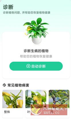 Plant Parent 植物养护v1.100高级版 - 创梦DreamCreation知识站