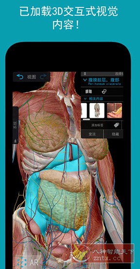 Human Anatomy Atlas 2026 人体解剖学图谱v2026.00.019高级版 - 创梦DreamCreation知识站